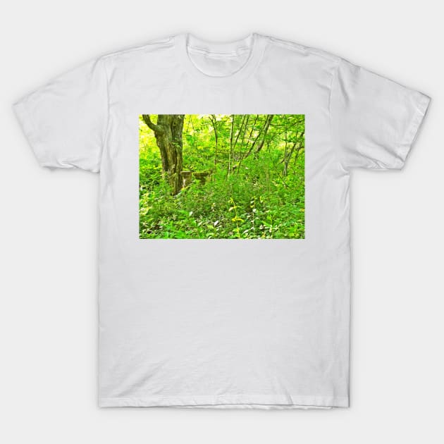 Still Standing T-Shirt by PaulLu